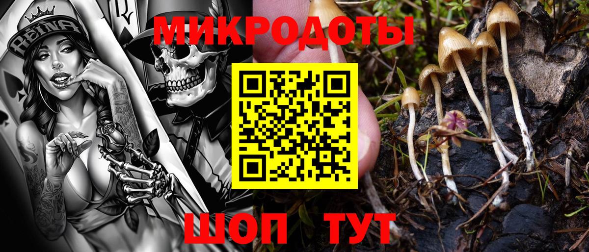 Михайловск  Галлюциногенные грибы GOLDEN TEACHER  дарнет шоп  Вход с VPN 