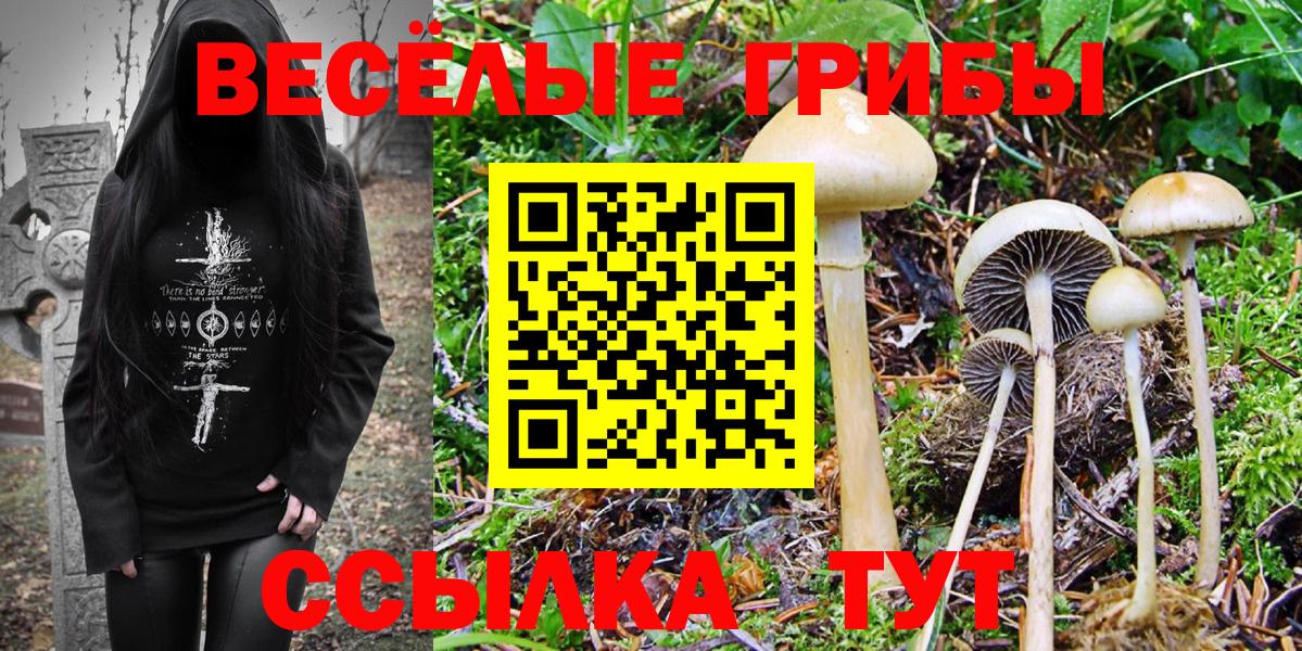 Псилоцибиновые грибы GOLDEN TEACHER Михайловск