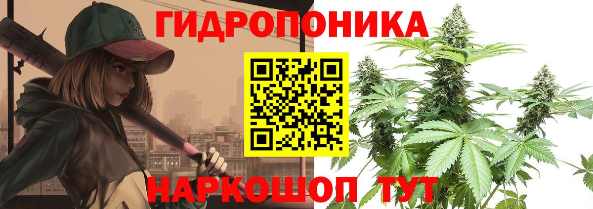 Конопля конопля  Бошки Шишки SATIVA & INDICA  Вход с VPN  Каннабис индика  Канабис марихуана  Михайловск 